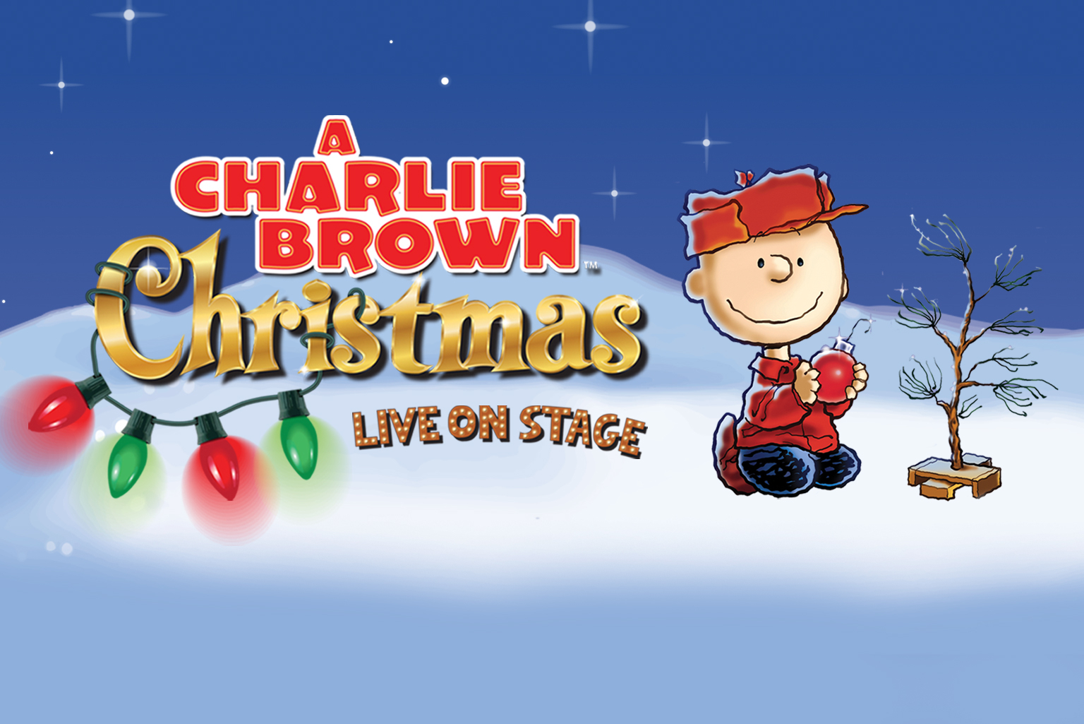 A Charlie Brown Christmas Live On Stage